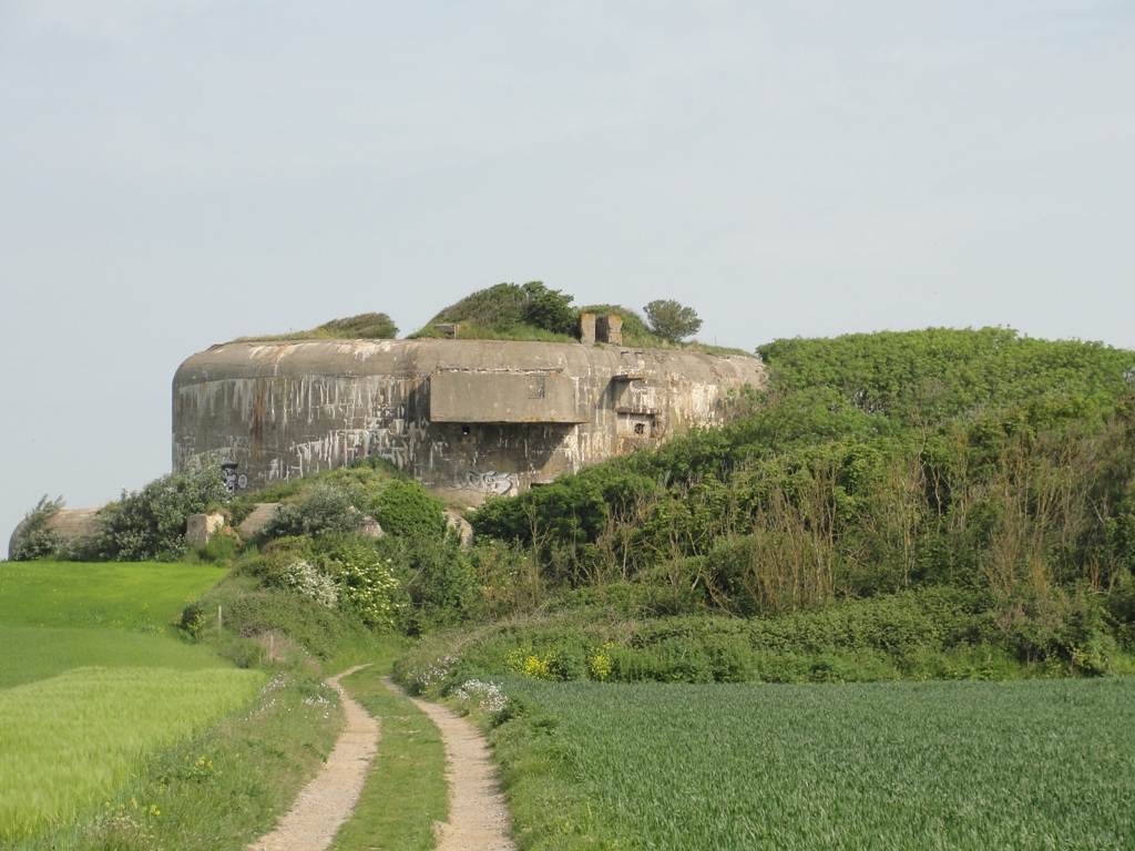DSC01442 - kopie (2)