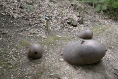 DSC01570 - kopie (2)