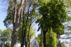 DSCN4478
