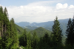 DSC05965 - kopie - kopie